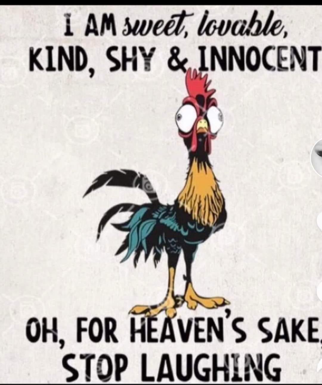 I AM sweet, lovable, KIND, SHY & INNOCENT OH, FOR HEAVEN'S SAKE, STOP LAUGHING