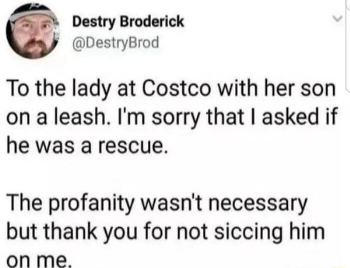 Destry Broderick DestryBrod To the lady at Costco with her son on a leash Im sorry that asked if he was a rescue The profanity wasnt necessary but thank you for not siccing him onme