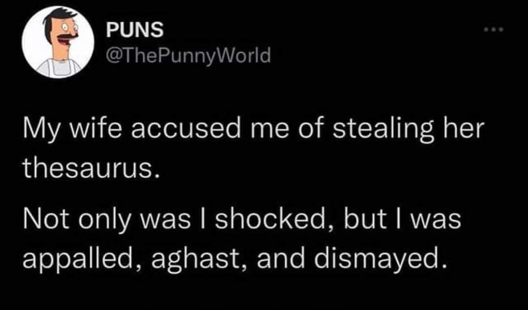 PUNS ThePunnyWorld My wife accused me of stealing her thesaurus Not only was shocked but was EETooE1STe MET o TS STaTo Ne T VY T 938 AM 8222 Twitter for iPhone 1 L REEEISE R Yo CRINEEI X 73 JRIEH