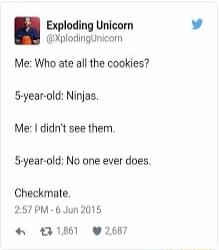 Exploding Unicorn plodingtnicomn Me Who ate all the cookies S year old Ninjas Me didnt see them S year old No one ever does Checkmate 257 PM 6 Jun 2015 131861