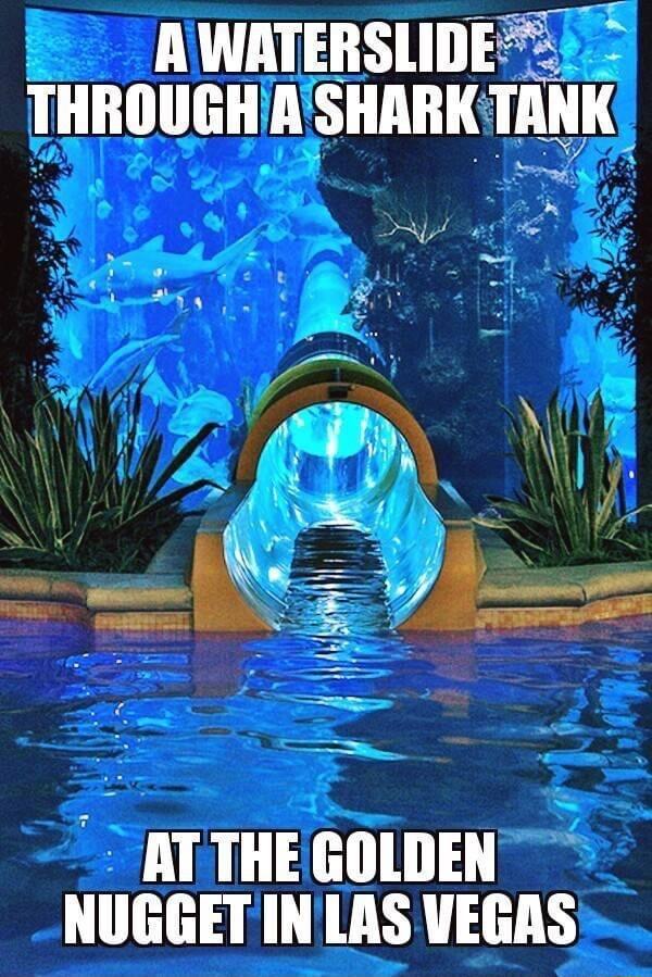 AWATERSLIDEEI THROUGHASHARK TANK D w T YR AT NUGGET IN LAS VEGAS