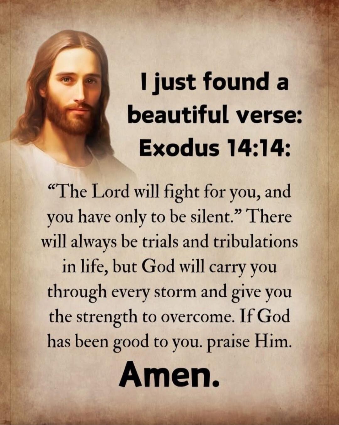 I just found a beautiful verse: Exodus 14:14: 