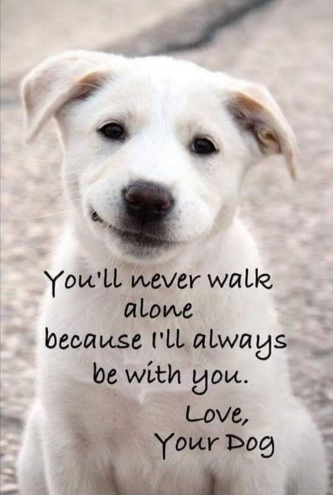 You'll never walk alone because I'll always be with you. Love, Your Dog