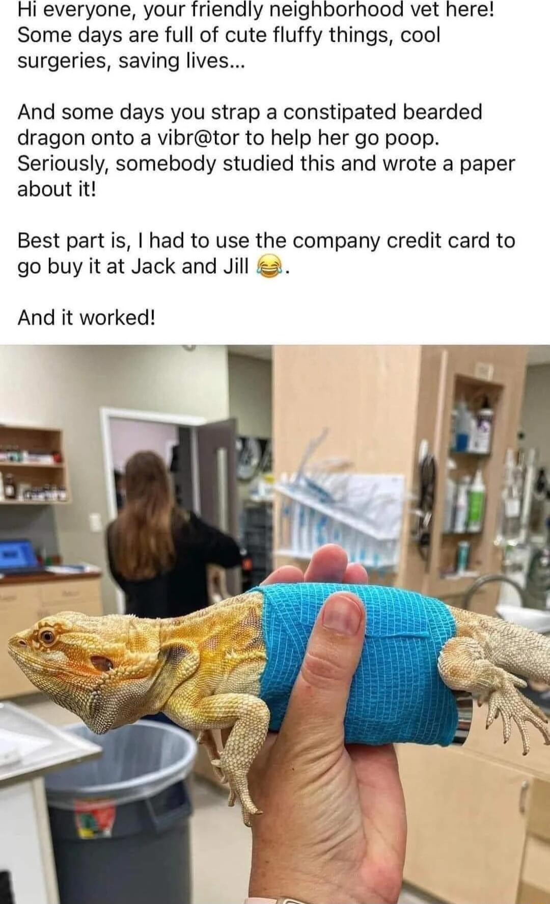 Hi everyone your friendly neighborhood vet here Some days are full of cute fluffy things cool surgeries saving lives And some days you strap a constipated bearded dragon onto a vibrtor to help her go poop Seriously somebody studied this and wrote a paper about it Best part is had to use the company credit card to go buy it at Jack and Jill 2 And it worked