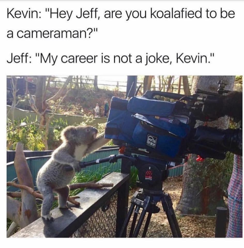 Kevin Hey Jeff are you koalafied to be a cameraman Jeff My career is not a joke Kevin