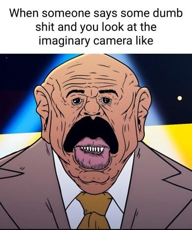 When someone says some dumb shit and you look at the imaginary camera like s 0