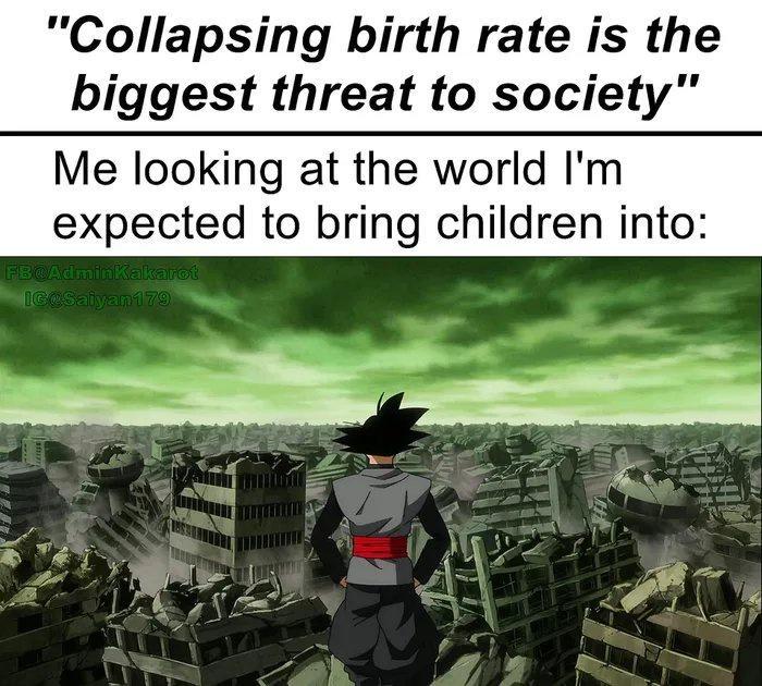 Collapsing birth rate is the biggest threat to society Me looking at the world Im expected to bring children into