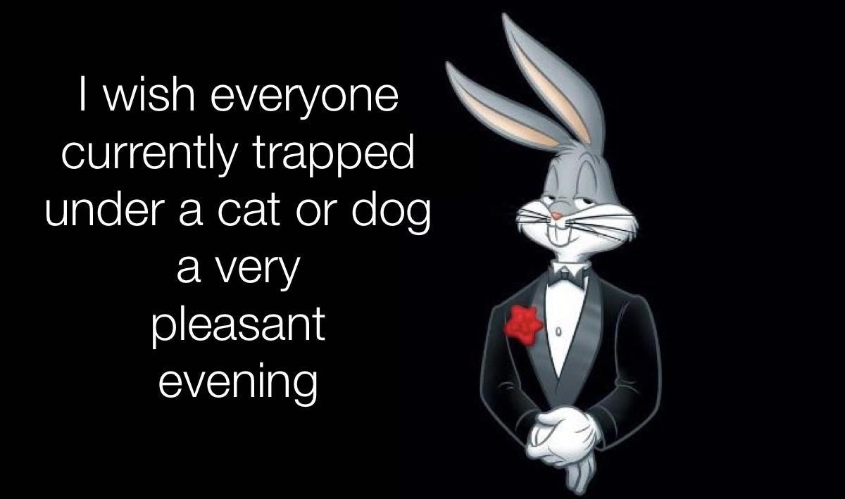 wish everyone currently trapped VlgleTgr Neelgle o ERVEY sllSERETS w SVElpte