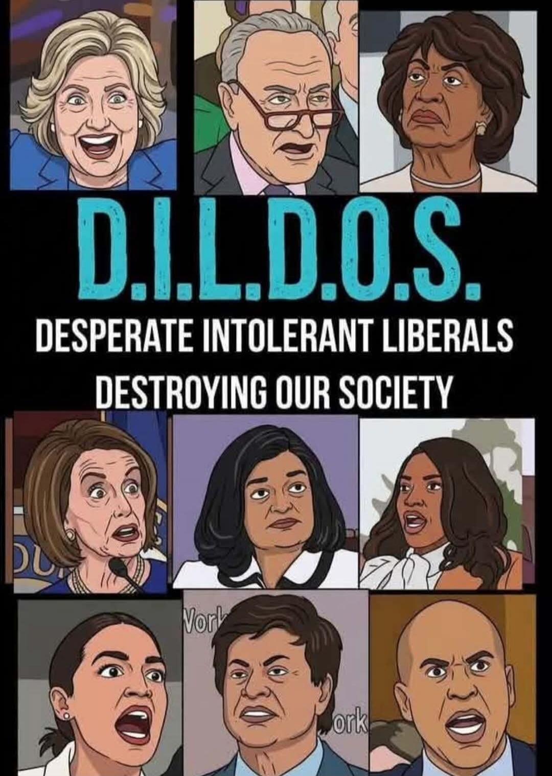 D.I.L.D.O.S. DESPERATE INTOLERANT LIBERALS DESTROYING OUR SOCIETY