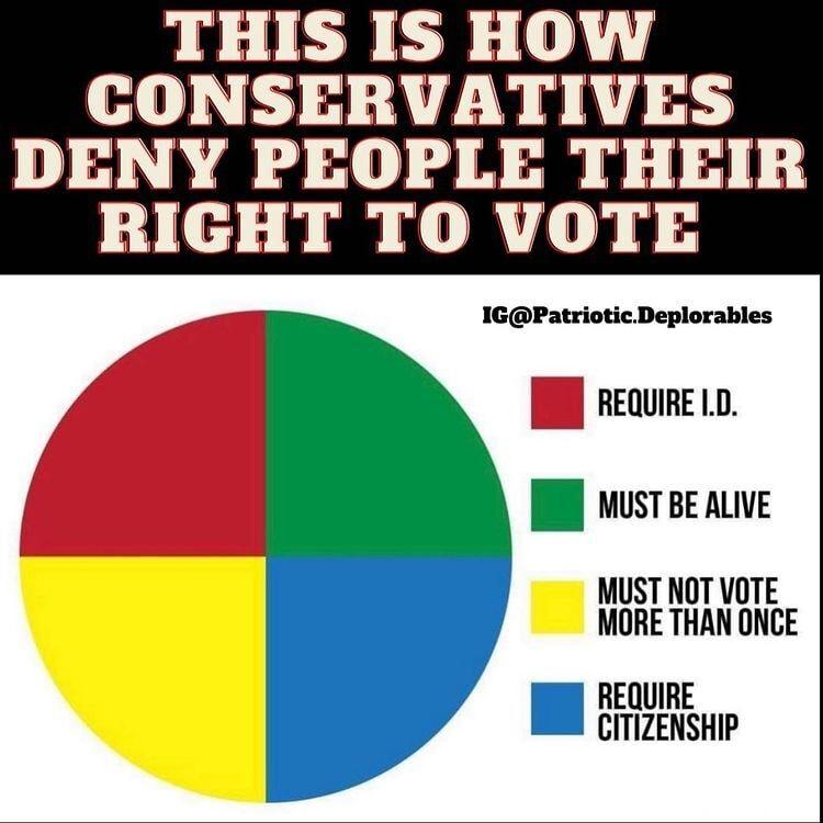 THIS IS HOW CONSERVATIVES DENY PEOPLE THEIR RIGHT TO VOTE IGPatrioticDeplorables REQUIRE L I wusT BE ALIE MUST NOT VOTE MORE THAN ONCE REQUIRE CITIZENSHIP