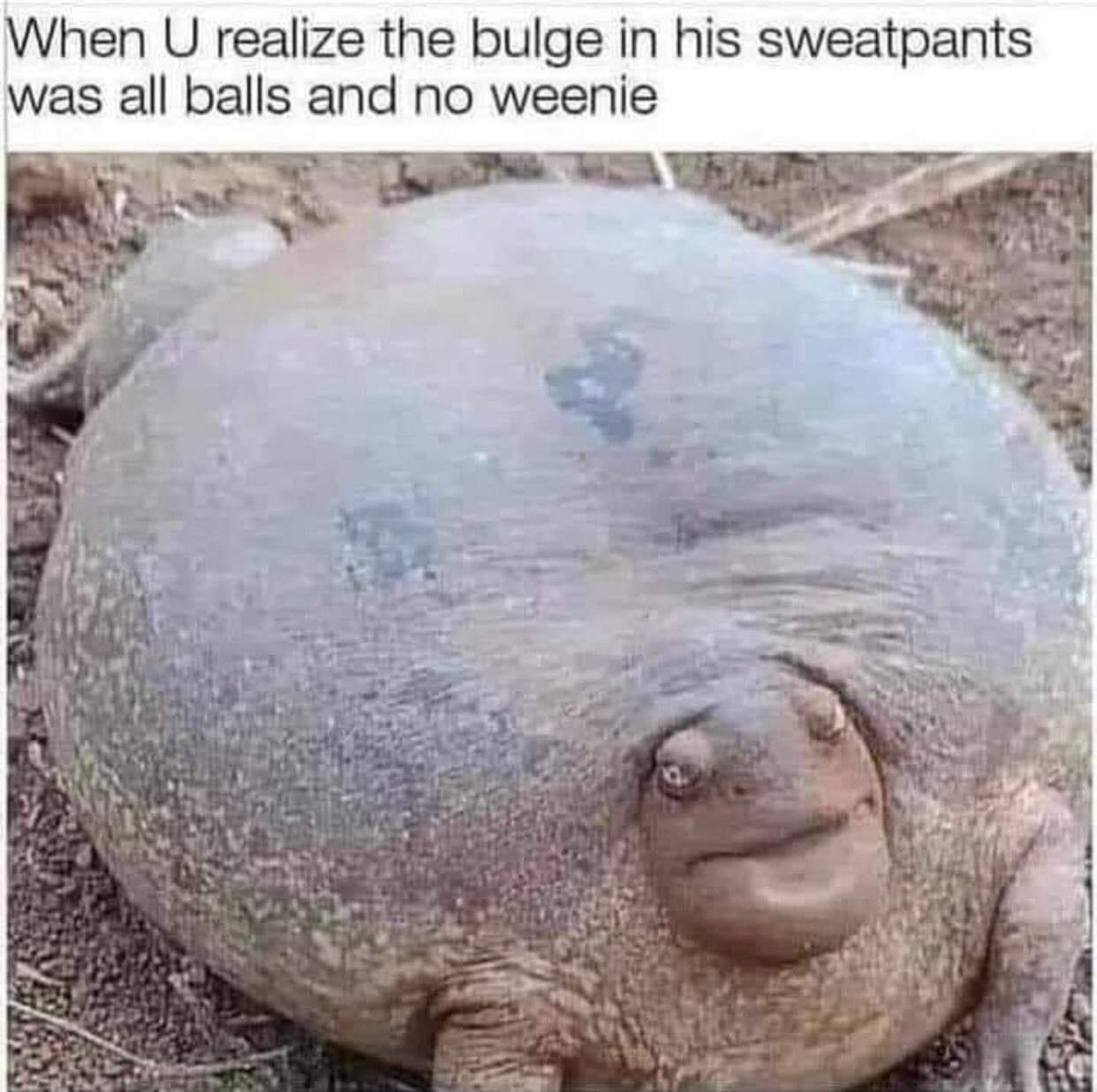 When U realize the bulge in his sweatpants was all balls and no weenie