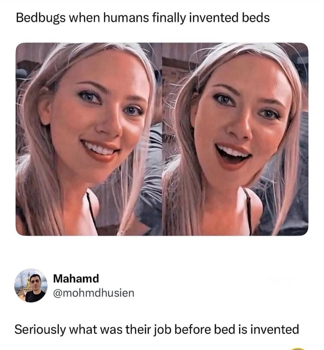 Bedbugs when humans finally invented beds Seriously what was their job before bed is invented
