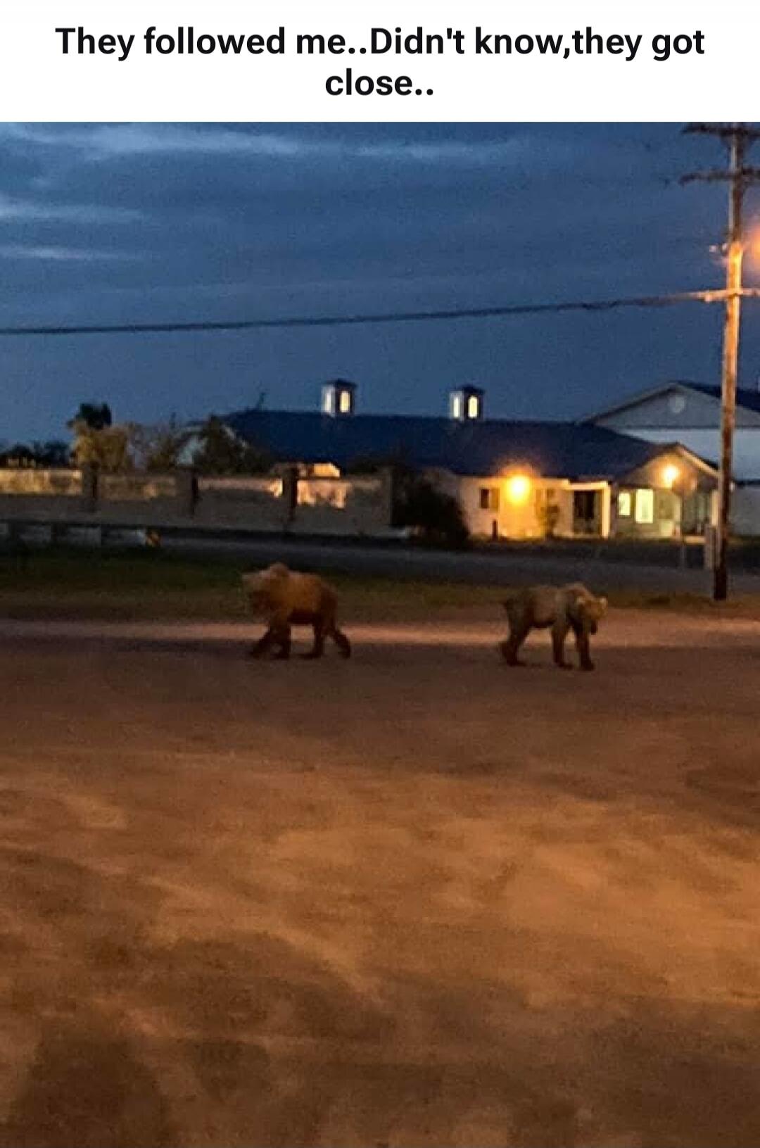 They followed me..Didn't know,they got close..