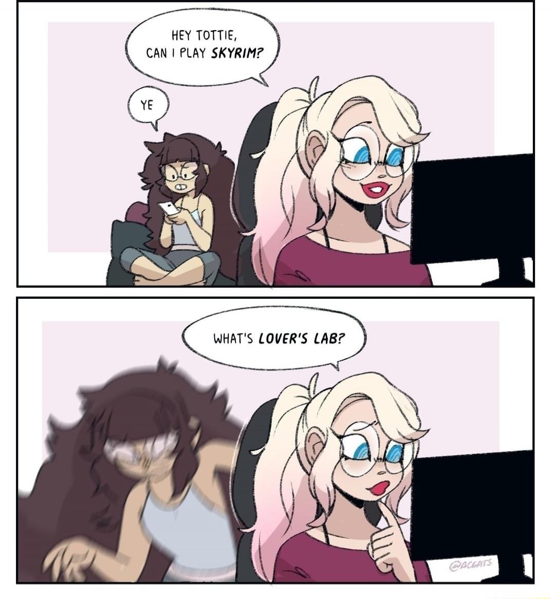 HEY TOTTIE, CAN I PLAY SKYRIM?
YE
WHAT'S LOVER'S LAB?