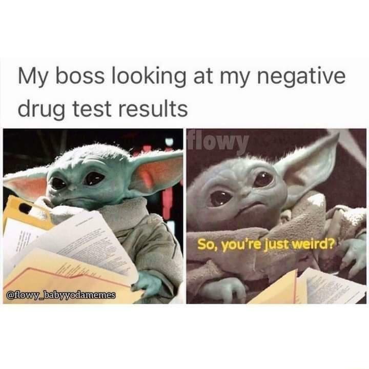 My boss looking at my negative drug test results