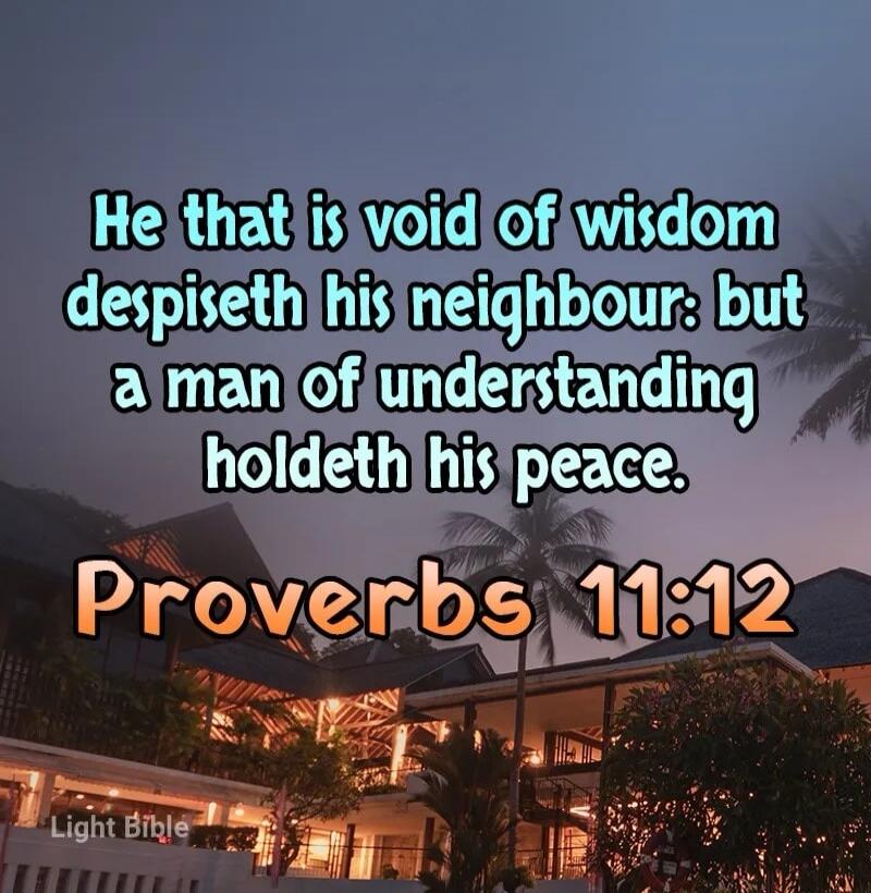 He that is void of wisdom despiseth his neighbour: but a man of understanding holdeth his peace. Proverbs 11:12 Light Bible