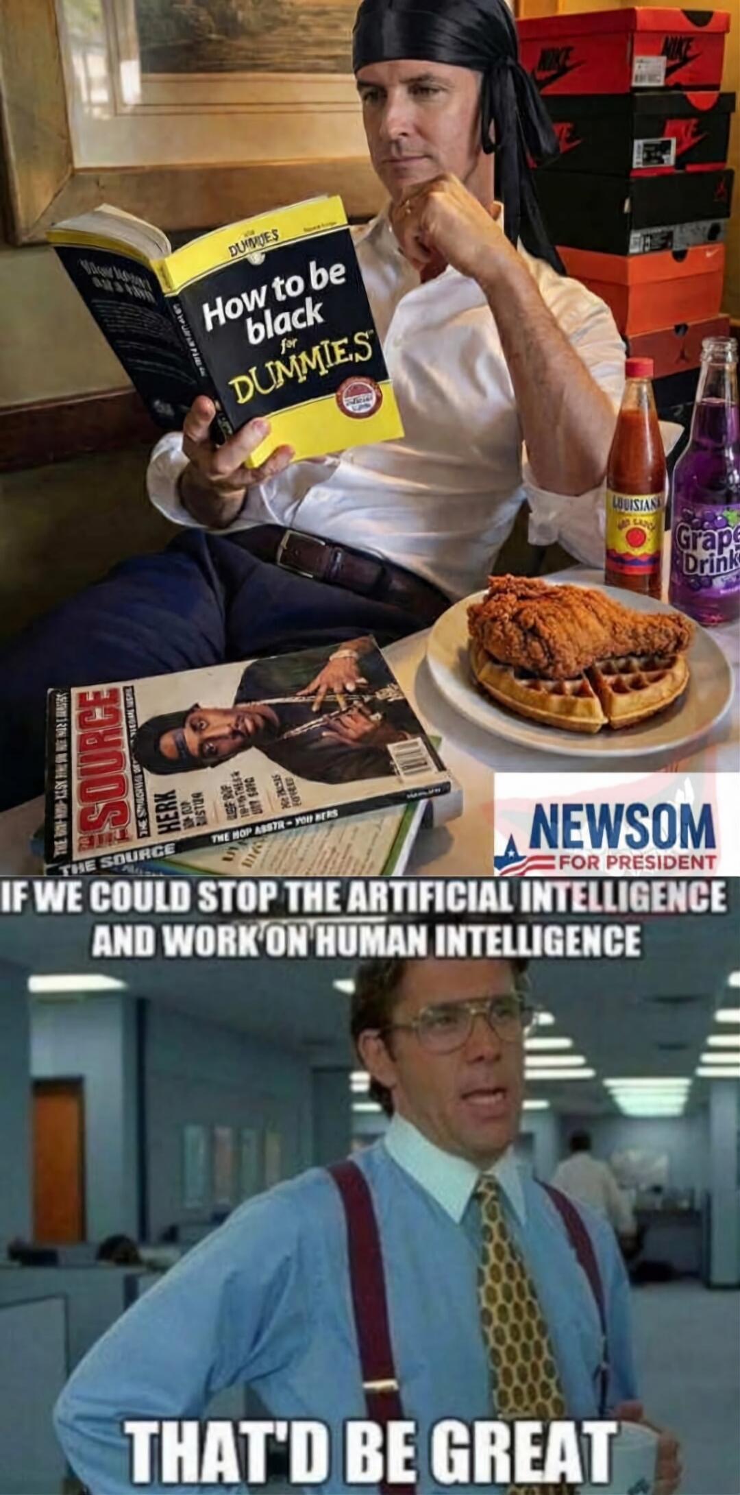 How to be black for DUMMIES
NEWSOM FOR PRESIDENT
IF WE COULD STOP THE ARTIFICIAL INTELLIGENCE AND WORK ON HUMAN INTELLIGENCE
THAT'D BE GREAT