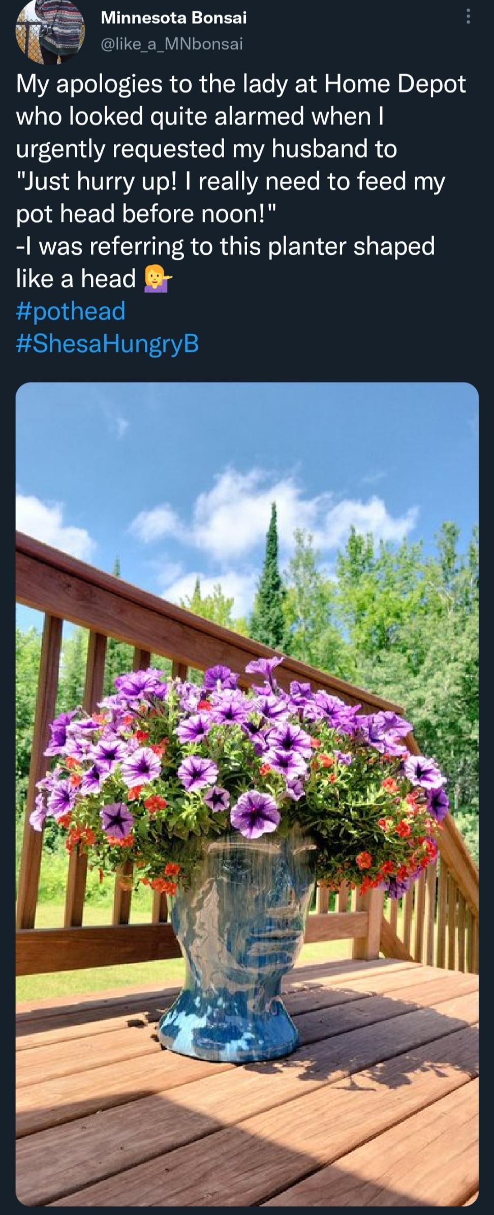 Minnesota Bonsai S like_a_MNbonsai T eleloT ER oR o TR EoTe T o TeT U DT Told who looked quite alarmed when VECI AT TS Cle i A TR E Ty o Ree Just hurry up really need to feed my pot head before noon 1 was referring to this planter shaped ICENEEGE 3 pothead ShesaHungryB