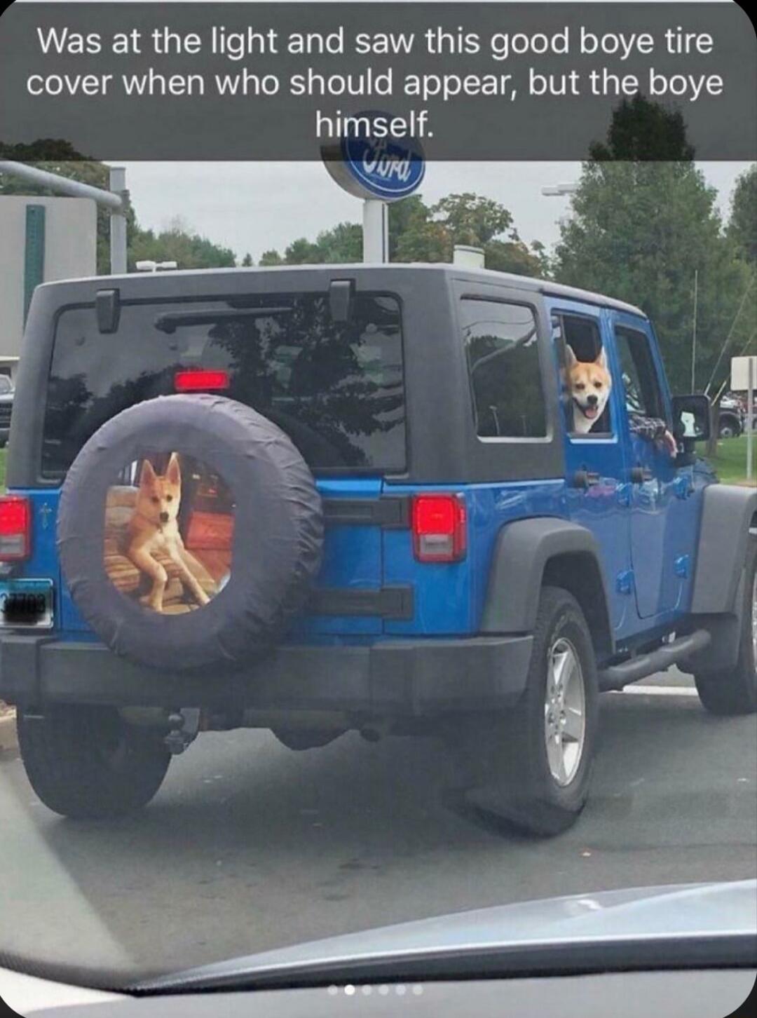 Was at the light and saw this good boye tire cover when who should appear but the boye himself