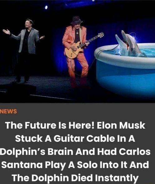 The Future Is Here Elon Musk Stuck A Guitar CableIn A Dolphins Brain And Had Carlos Santana Play A Solo Into It And The Dolphin Died Instantly