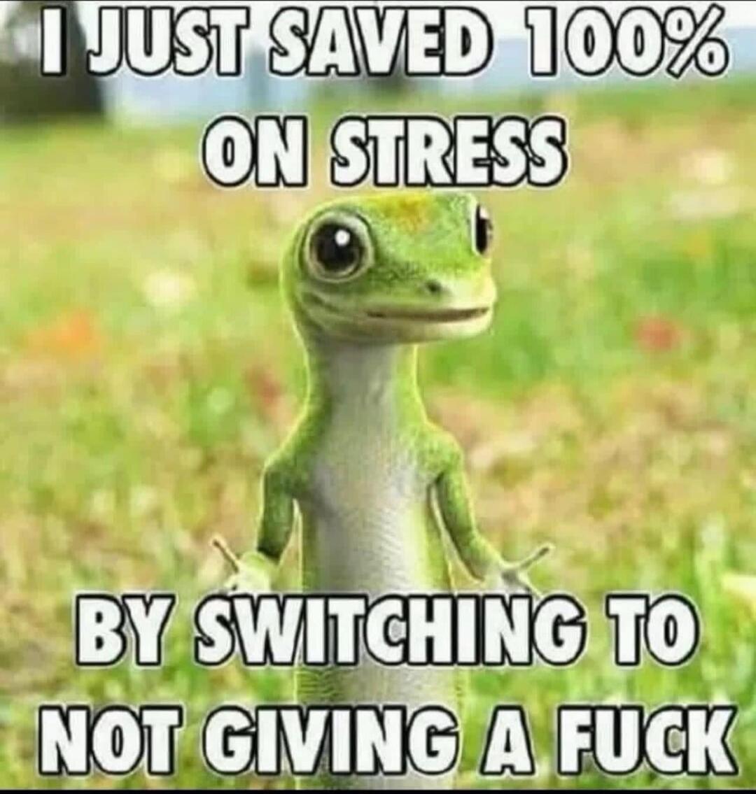 I JUST SAVED 100% ON STRESS BY SWITCHING TO NOT GIVING A FUCK