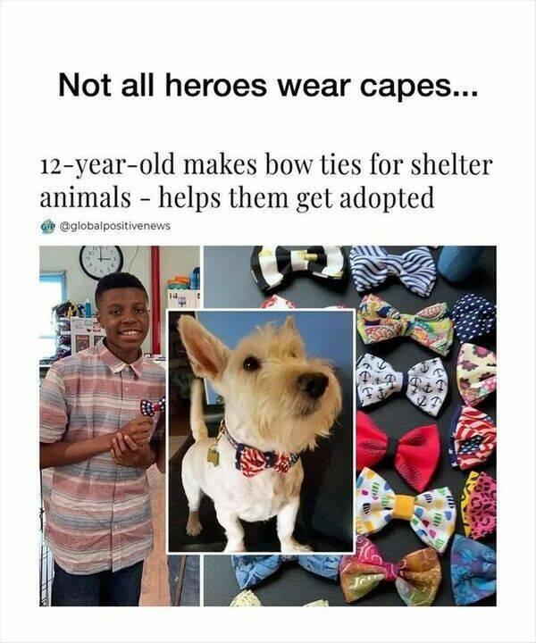 Not all heroes wear capes 12 year old makes bow ties for shelter anim helps them get adopted egiovarpos
