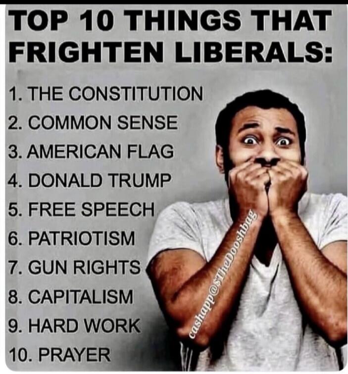 TOP 10 THINGS THAT FRIGHTEN LIBERALS: 1. THE CONSTITUTION 2. COMMON SENSE 3. AMERICAN FLAG 4. DONALD TRUMP 5. FREE SPEECH 6. PATRIOTISM 7. GUN RIGHTS 8. CAPITALISM 9. HARD WORK 10. PRAYER cashapp@$TheDooshbag