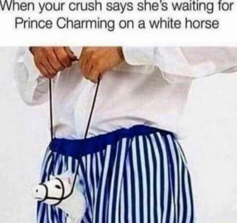 When your crush says she's waiting for Prince Charming on a white horse