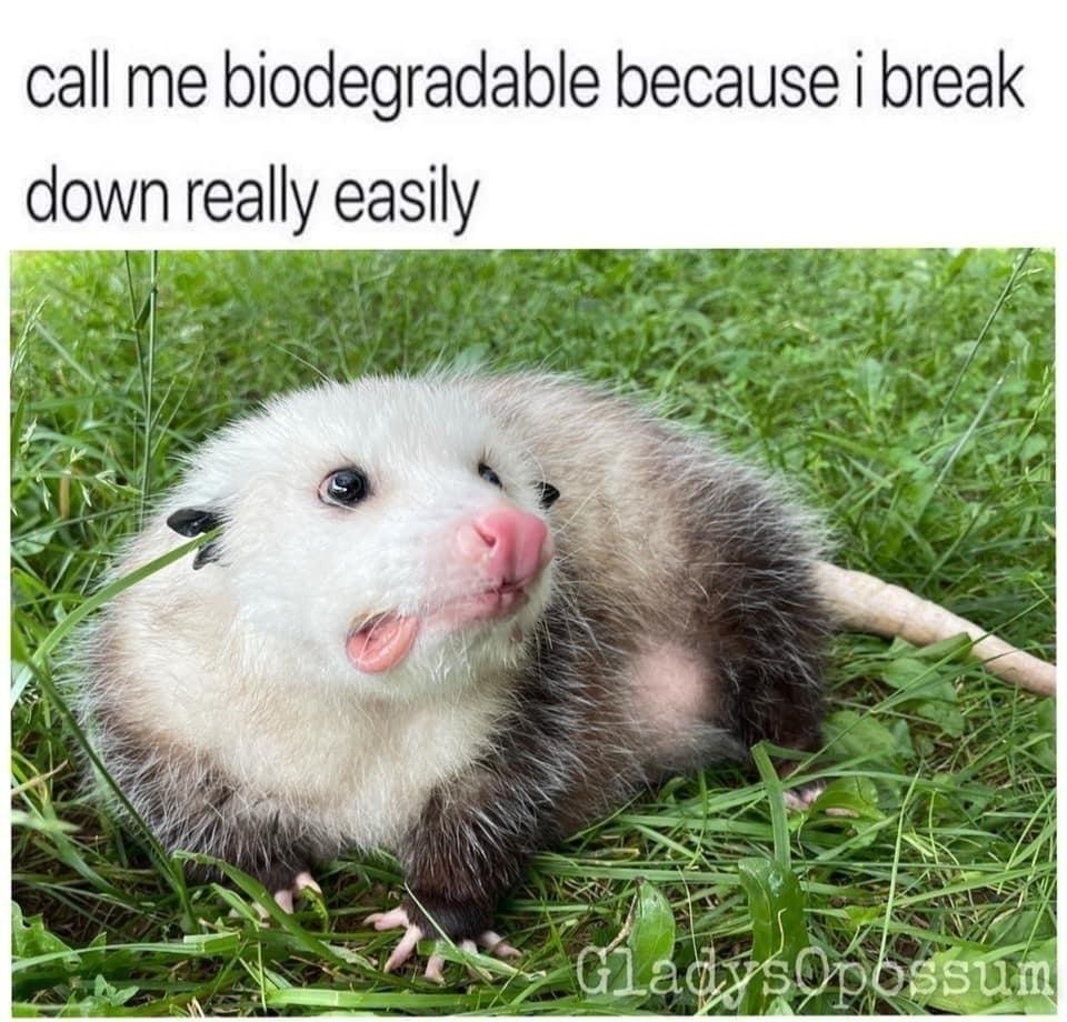 call me biodegradable because i break down really easily