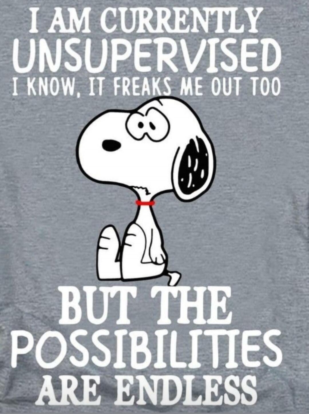 I AM CURRENTLY UNSUPERVISED I KNOW, IT FREAKS ME OUT TOO BUT THE POSSIBILITIES ARE ENDLESS