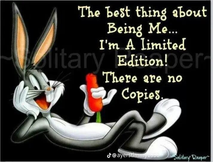 The best thing about Being Me... I'm A limited Edition! There are no Copies.