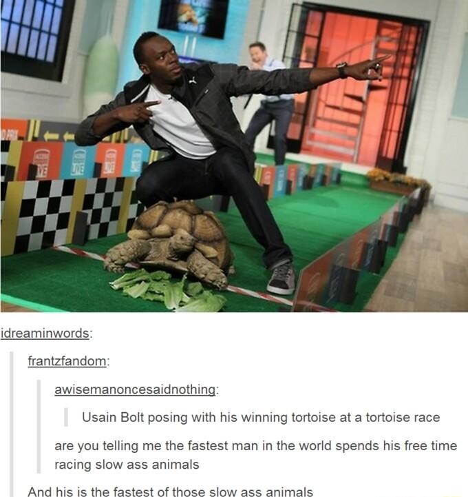 idreaminwords frantzfandom awisemanoncesaidnothin Usain Bolt posing with his winning tortoise at a tortoise race are you telling me the fastest man in the world spends his free time ng slow ass animals i e el e i