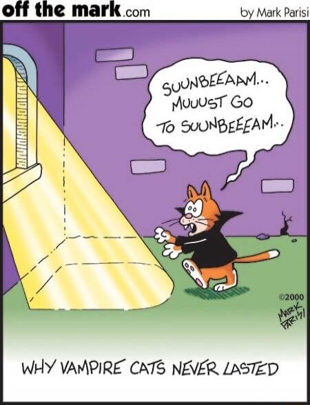 SUUNBEAM... MUUST GO TO SUNBEAM... WHY VAMPIRE CATS NEVER LASTED