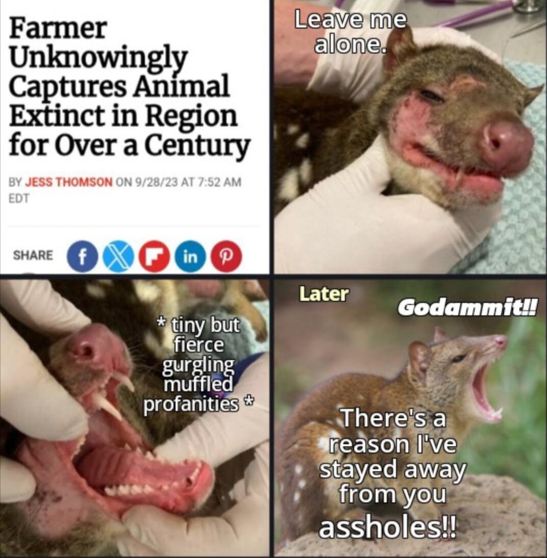 Farmer Unknowingly Captures Animal Extinct in Region for Over a Century JESS THOMSON QNG00 200 T el you assholes P e g i
