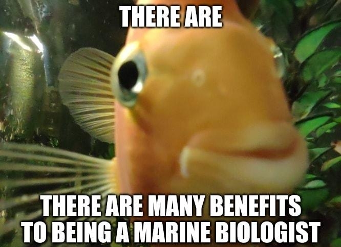 i T THEREARE _THEREARE MANY BENEFITS TO BEING A MARINE BIOLOGIST