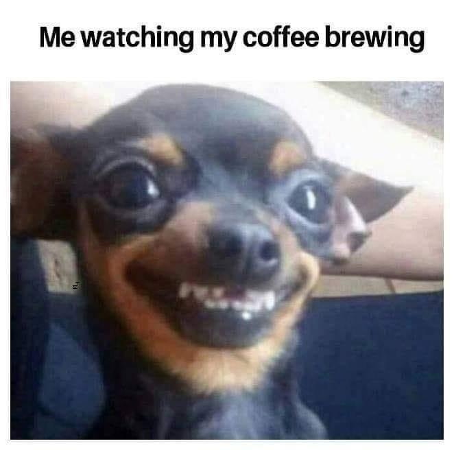 Me watching my coffee brewing