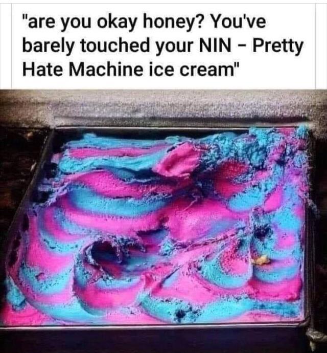 are you okay honey Youve barely touched your NIN Pretty Hate Machine ice cream