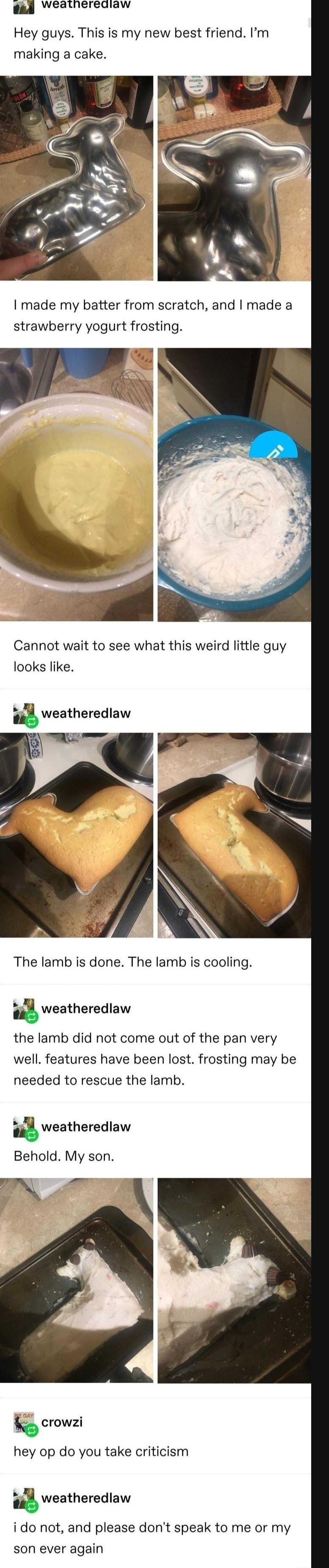weatherediaw Hey guys This is my new best friend Im making a cake I made my batter from scratch and made a strawberry yogurt frosting Cannot wait to see what this weird little guy looks like weatheredaw L The lamb is done The lamb is cooling weatheredlaw the lamb did not come out of the pan very well features have been lost frosting may be needed to rescue the lamb weatheredlaw Behold My son Qcrow