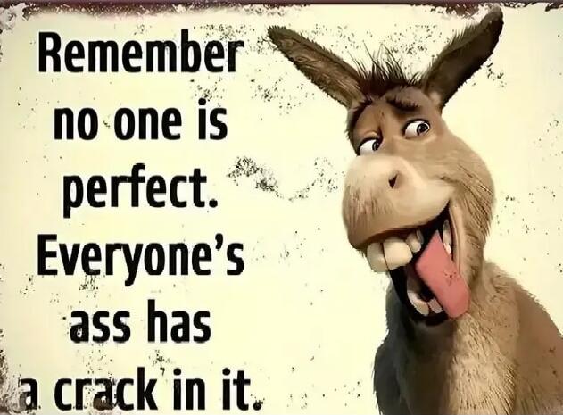 Remember no one is perfect. Everyone's ass has a crack in it.