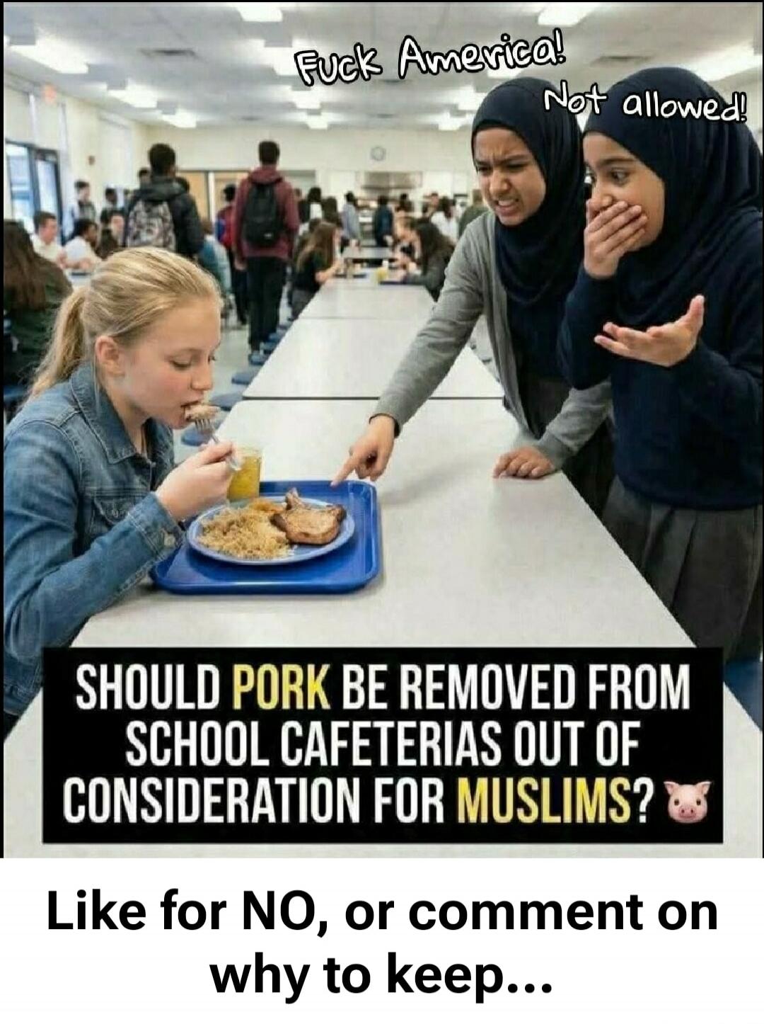 Fuck America! Not allowed! SHOULD PORK BE REMOVED FROM SCHOOL CAFETERIAS OUT OF CONSIDERATION FOR MUSLIMS? 🐷 Like for NO, or comment on why to keep...
