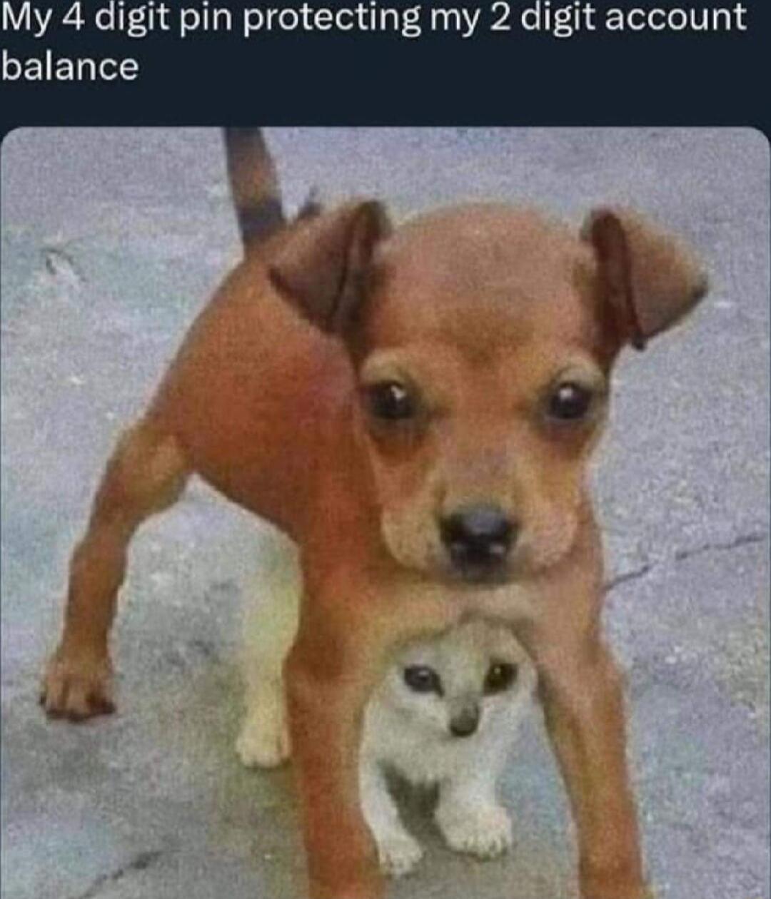 olf 01q ellgW elgel TodpFRy0 P24l f eleleV 5 4