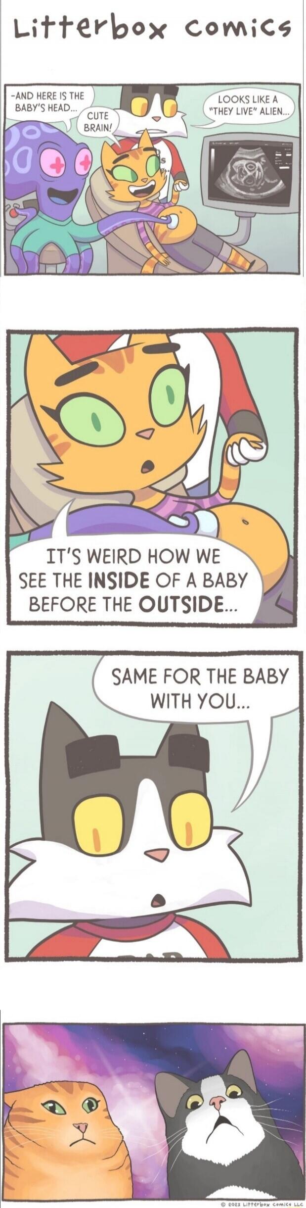 Litterbox comics

-AND HERE IS THE BABY'S HEAD...
CUTE BRAIN!
Looks like a 'they live' alien...

IT'S WEIRD HOW WE SEE THE INSIDE OF A BABY BEFORE THE OUTSIDE...

SAME FOR THE BABY WITH YOU...