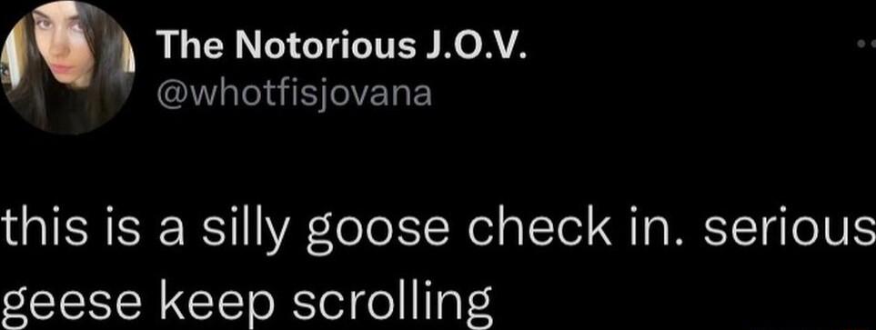 e LI GITITEN KeATA NGB IVENE this is a silly goose check in serious geese keep scrolling