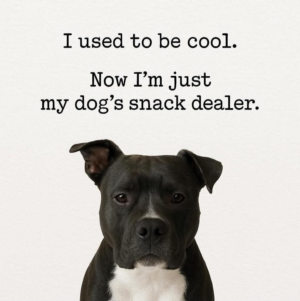 I used to be cool. Now I’m just my dog’s snack dealer.