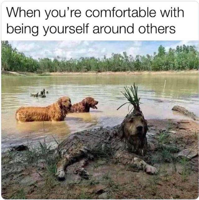 When youre comfortable with being yourself around others