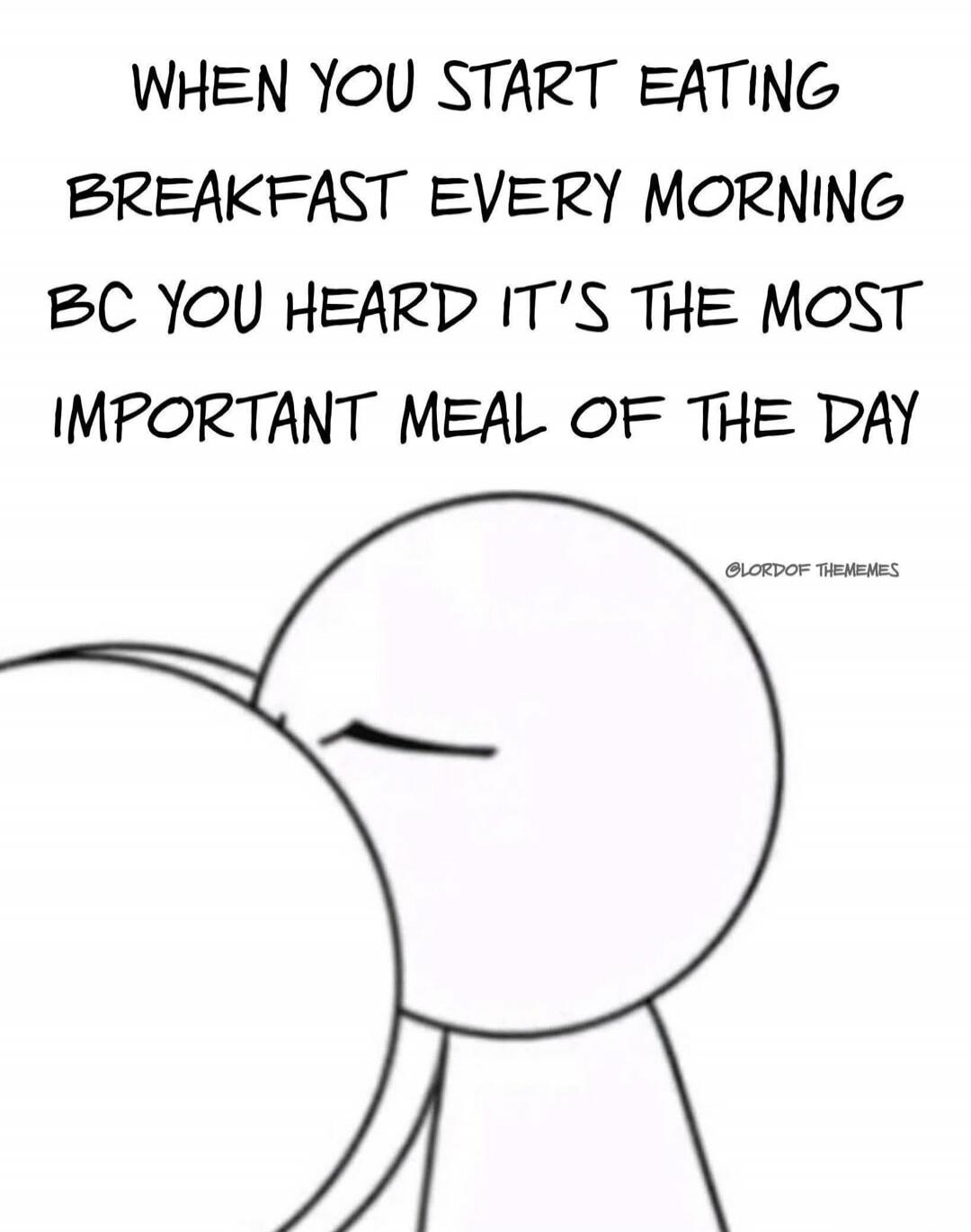 WHEN YOU START EATING BREAKFAST EVERY MORNING BC YOU HEARD IT'S THE MOST IMPORTANT MEAL OF THE DAY @LORDOF THEMEMES