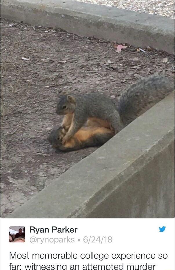 a Ryan Parker Most memorable college experience so