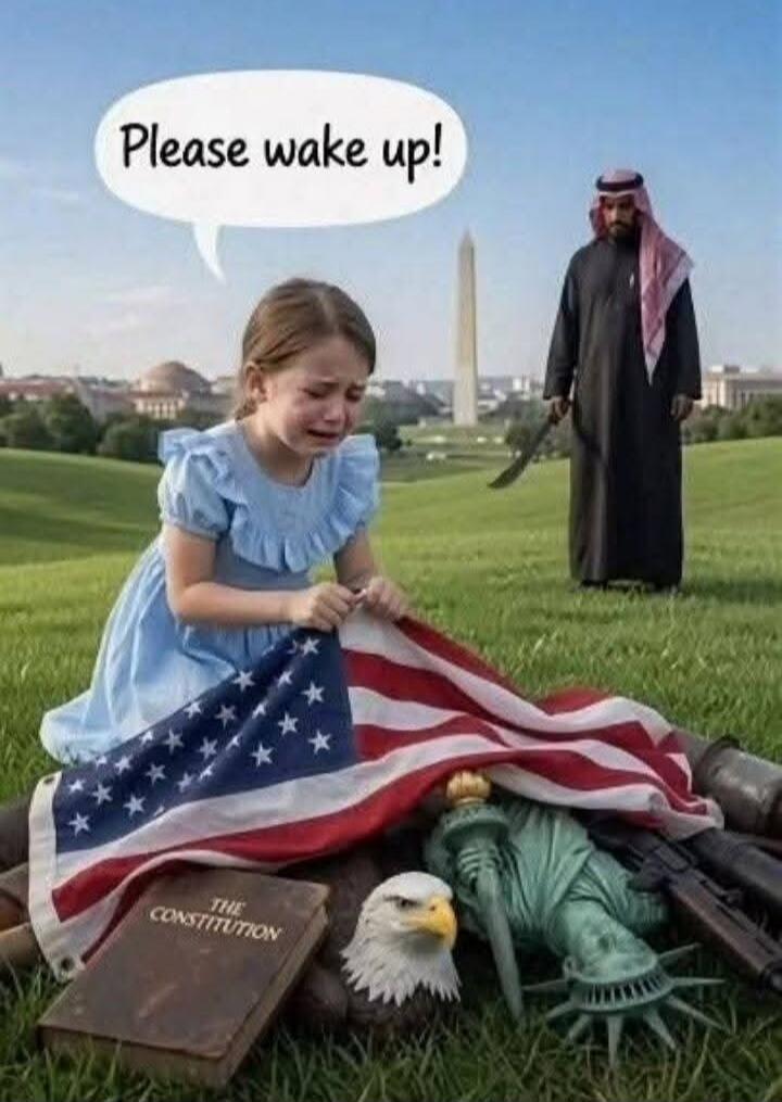 Please wake up! The Constitution