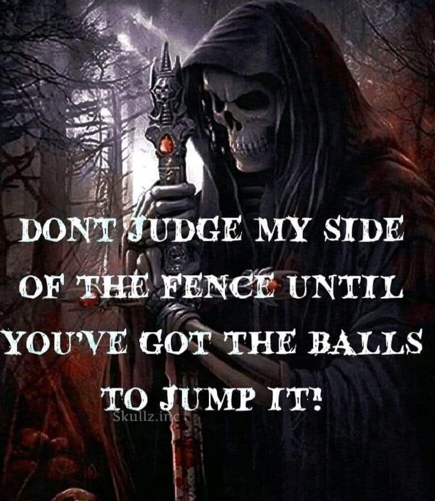 DON'T JUDGE MY SIDE OF THE FENCE UNTIL YOU'VE GOT THE BALLS TO JUMP IT! Skullz.inc