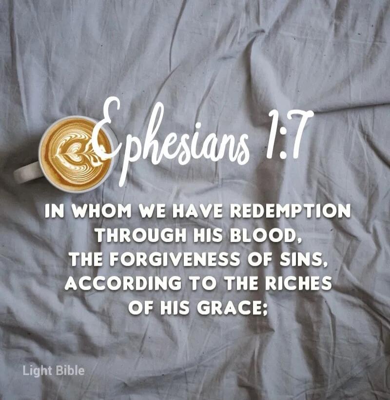 Ephesians 1:7 IN WHOM WE HAVE REDEMPTION THROUGH HIS BLOOD, THE FORGIVENESS OF SINS, ACCORDING TO THE RICHES OF HIS GRACE; Light Bible